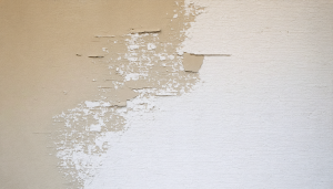 découvrez comment les résidus de colle de papier peint peuvent impacter votre projet d'enduit décoratif. explorez des astuces pour les éliminer efficacement et assurer une finition parfaite.