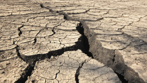 découvrez si votre assurance peut couvrir les fissures causées par l'affaissement du sol. cet article explore les implications des catastrophes naturelles sur les polices d'assurance et vous guide dans vos démarches.
