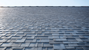 découvrez comment choisir les tuiles plates et le noue en tuile adaptés pour un système d'évacuation efficace de votre toiture. conseils pratiques et guide complet pour protéger votre maison.
